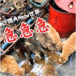 捐贈到捐贈到沙頭角Meow世界(沙頭角)